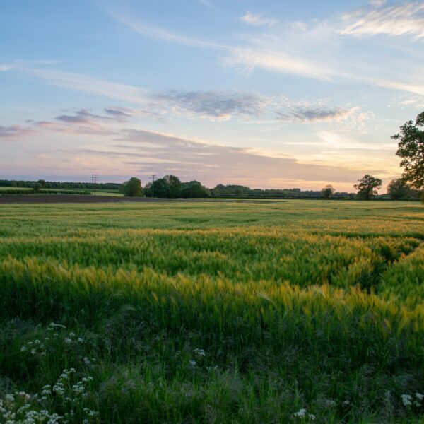 Votez pour vos projets coup de cœur du 8 mars au 7 avril !